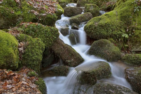 Gaishöll Waterfalls, near Sasbachwalden, Black Forest, Baden-Württemberg, Germany, Europe