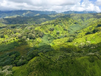 Aerial view of Kuilau Ridge Trail, Moalepe Road, Kauai, Hawaii, USA, North America