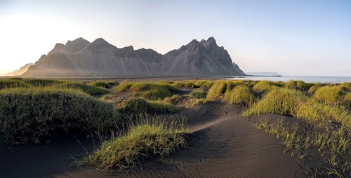 Black beach with volcanic sand, sandy beach, dunes with grass, Stokksnes headland, Klifatindur