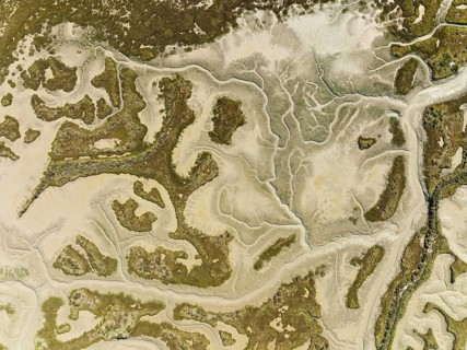 Network of dry channels and streams at low tide, in the marshland of the Bahía de Cádiz, aerial