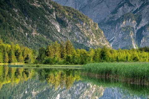 Almsee with reflection, Grünau, Almtal, Salzkammergut, Upper Austria, Austria, Europe