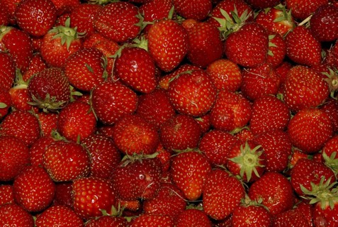 Strawberries (Fragaria x ananassa)