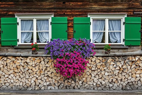 Window with geraniums on an old farmhouse and stacked firewood, Oberstdorf, Oberallgäu, Allgäu,