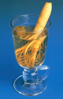Ginseng (Panax ginseng) Ginseng wine, ginseng, ginseng root, medicinal plant of Asian medicine