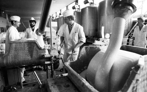The work of the Westmilch dairy in the production of butter on 28.05.1980 in Her ford-Extertal,