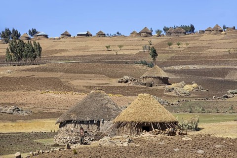 Farmer in front of traditional round stone huts with thatched roofs in the Ethiopian highlands,