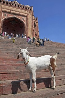 Buland Darwaza, entrance to the Fatehpur Sikri complex in Uttar Pradesh, India, Asia