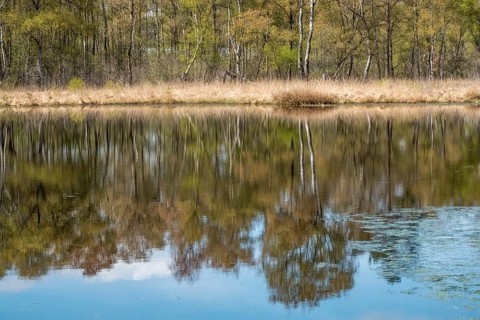 Nature conservation and FFH area, Heideweiher, Heubachniederung, Gescher, Münsterland, North