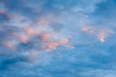 Pink-coloured fleecy clouds adorn the evening blue sky at sunset