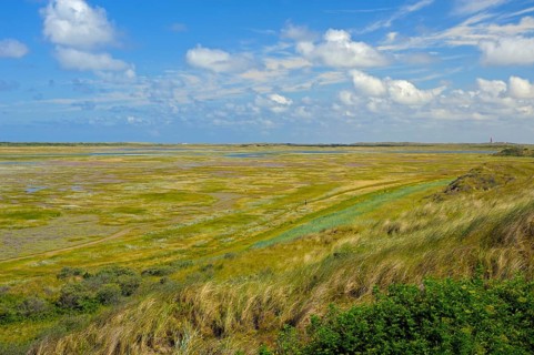 Nature reserve De Slufter, view from lookout dune, island Texel, North Sea, North Holland,
