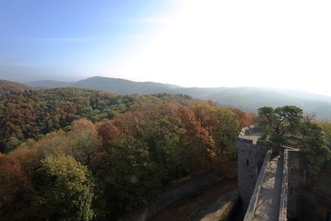 Auerbach Castle Ruin near Bensheim, Bergstrasse, Hesse, Germany, Europe