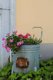 Grüner Hof, Heimat Museum, historical zinc tub, washing trough with plants, cranesbill (Geranium),