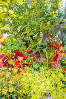Oil painting, red flowers creative, different plants mixed, artistic shot, alienated flowers,