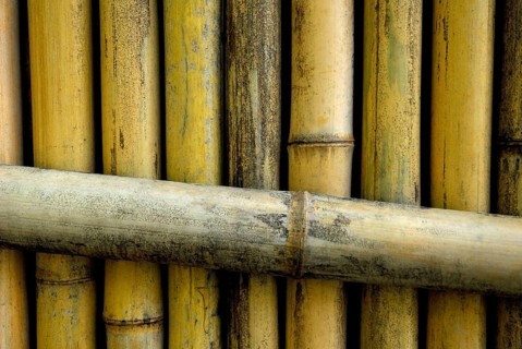 Bamboo fence, Japan, Asia