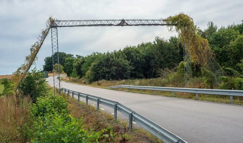Bridge for an endangered species of hazel dormice (Muscardinus avellanarius) over a country road in