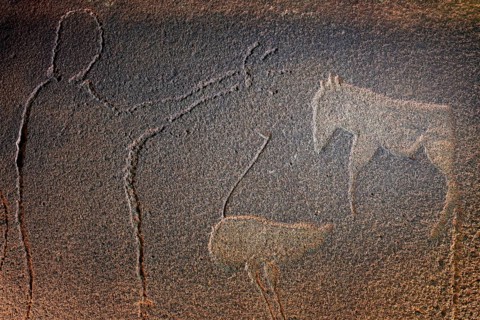 Rock engraving of a man with raised arm, ostrich and zebra, at night, illuminated, God's plate,