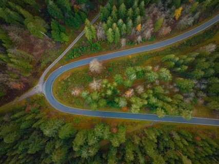 S-curve through the autumn forest, Black Forest, Germany, Europe