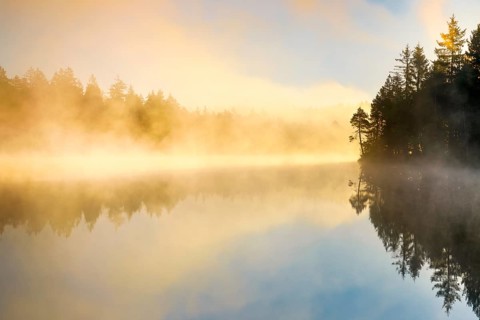 Backlit sunrise with wafts of mist over the mirror-smooth moorland lake Étang de la Gruère in the