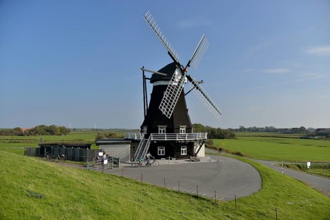 Norder windmill, Pellworm, North Frisia, Schleswig-Holstein, Germany, Europe