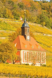 The Protestant vineyard church Zum Heiligen Geist is a baroque village church in the Pillnitz