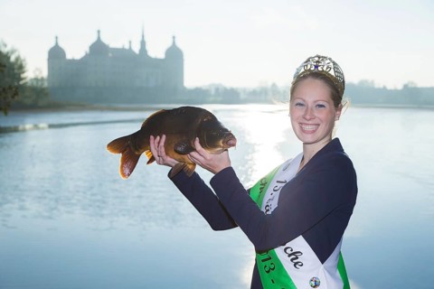 Fishing of the castle pond in Moritzburg