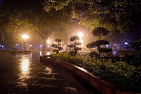 Guangzhou People's Park with mist fog at night. Guangzhou, China, Asia