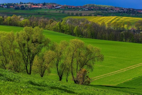 Fields near Zuschendorf with a view of Niederseifersdorf