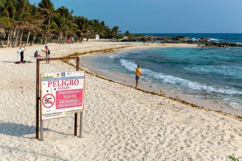 Peligro Danger sign swimming prohibited, Playa Secreto beach, Isla Mujeres, Caribbean Coast,