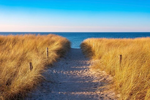 Beach access at the Baltic Sea in the evening light, path through dunes to the beach, beach grass