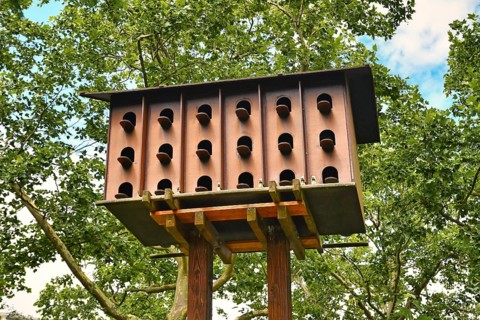 Large pigeon bird house constructed to exchange eggs for fake eggs to reduce feral pigeon