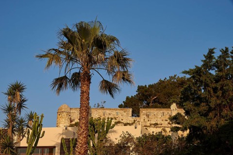 Fortezza, Venetian sea fortress, palm tree, fortress walls, corner towers, blue cloudless sky,