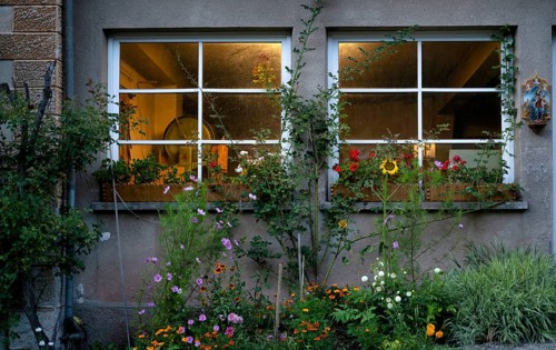 Flowers entwine in front of wood workshop, Ortisei, Val Gardena, South Tyrol, Italy, Europe