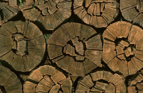 Firewood, split logs