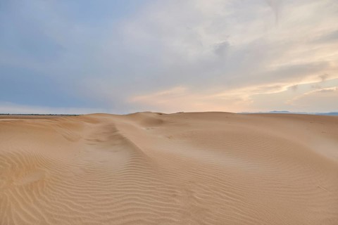 Beach "Platja del Fangar", sand dunes, Vegetation, nature reserve, ebro delta, Catalonia, Spain,