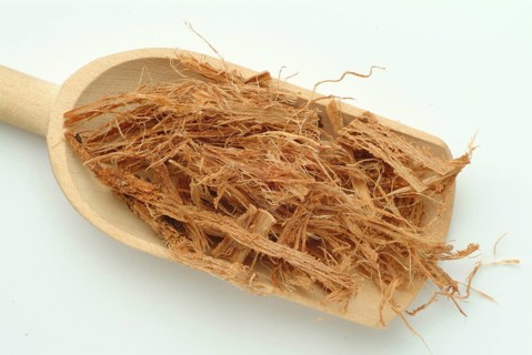 Incha, queen sago, is a species of palm fern, sago palm fern, Cycas cireinnalis, medicinal plant,
