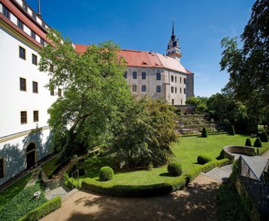 Rose Garden, Hartenfels Castle, Torgau, Saxony, Germany, Europe