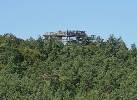 Treetop Walk viewing platform, Heringsdorf, Usedom, Mecklenburg-Western Pomerania, Germany, Europe