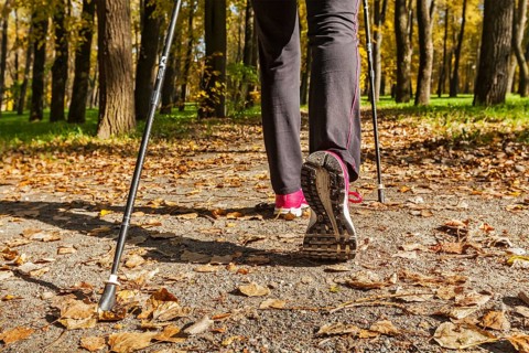 Nordic walking adventure and exercising concept, woman hiking, legs and nordic walking poles in