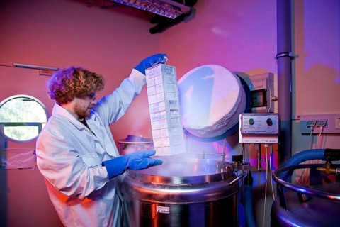 Max Planck Institute of Molecular Cell Biology and Genetics