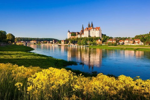 Meissen in the morning light