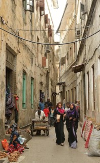 Alleyway in the historic centre, Stone Town, Zanzibar City, Zanzibar, Tanzania, Africa