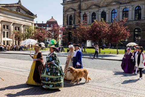 Return of the oranges from their winter quarters to the Dresden Zwinger