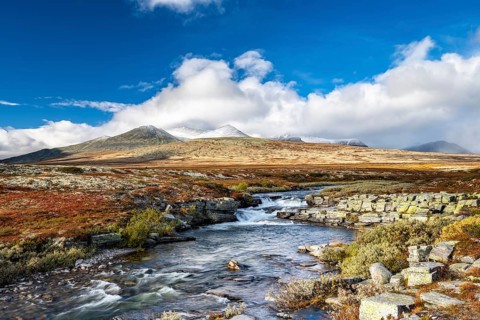 Autumnal mountain landscape with river Store Ula, Rondane National Park, Norway, Europe