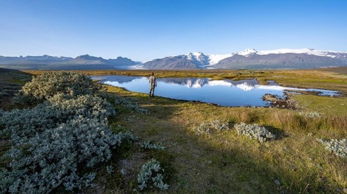 Tourist standing on the lakeshore, reflection in a lake, view of glacier tongues Skaftafellsjökull