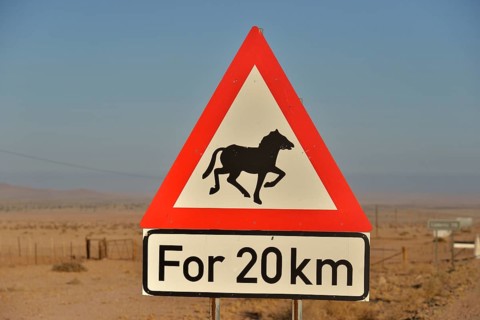 Warning Sign Attention horses, near Aus, Karas Region, Namib, Namibia, Africa