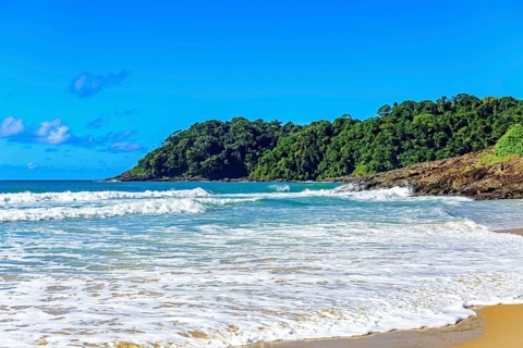 Tiririca beach with its waves and rainforest in the city of Itacare on the coast of Bahia