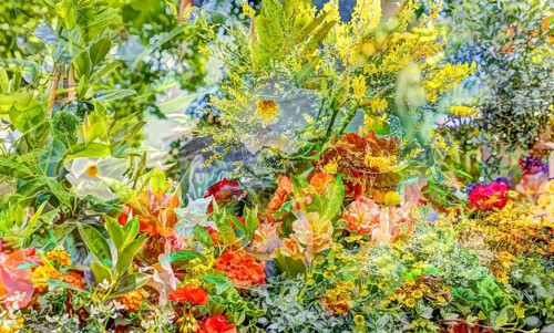 Oilpainting-like picture, various bright flowers, red, yellow and white flowers creative,