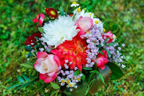 Flower bouquet in a meadow, dahlias (Dahlia), Georgines, roses (Rosa), blossom, foliage, leaves,