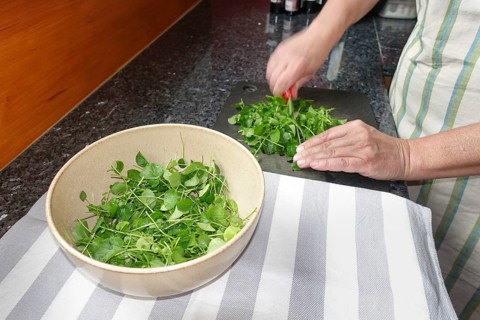 Watercress (Nasturtium officinale), fresh cress for the preparation of a cress soup, cutting board,