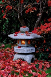 Japanese maple (Acer japonicum aconitifolium) , maple leaves on stone lantern, Japanese stone